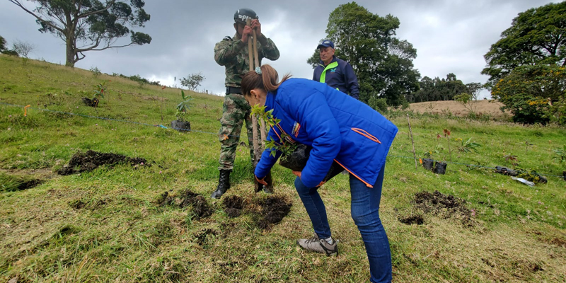 Secretaría de las TIC 100% comprometida con el medio ambiente