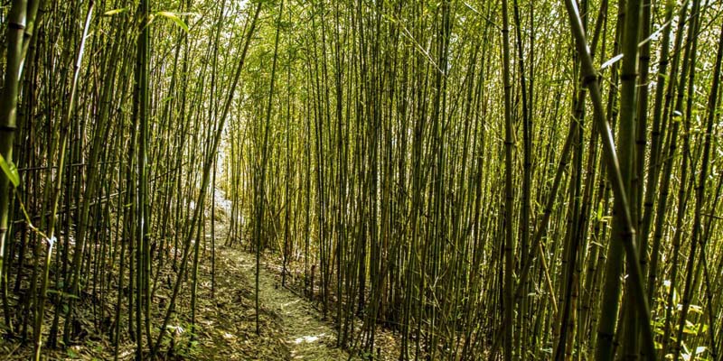 Estrategias de adaptación al cambio climático para administraciones municipales