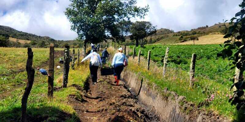 ‘Recicla con TIC’ logró la siembra de 6.000 árboles en Cundinamarca durante este cuatrienio