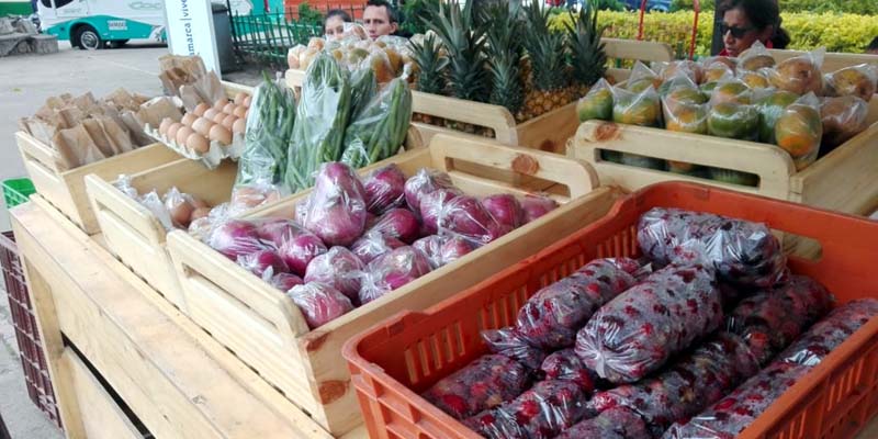 Sibaté, Ubaté, Zipaquirá, Fusagasugá y Cajicá, le apuestan al “Cambio Verde”