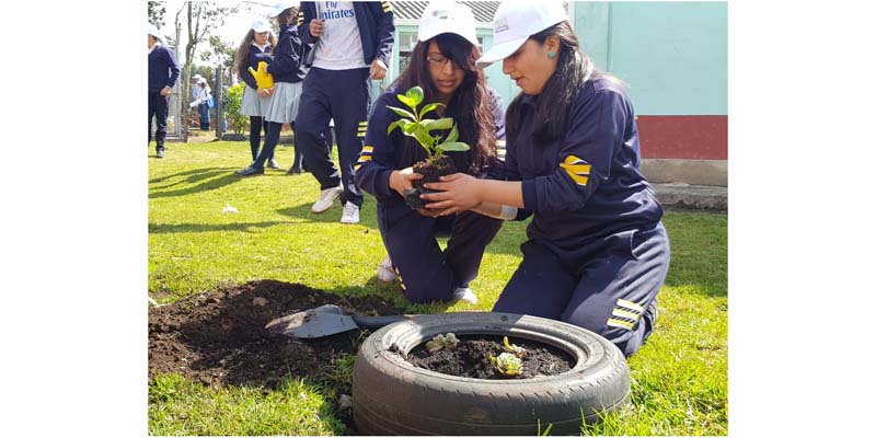 Cundinamarca lanza concurso virtual sobre educación ambiental


