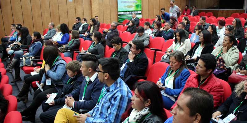 Escuelas más eficientes, ecológicas y sostenibles 







