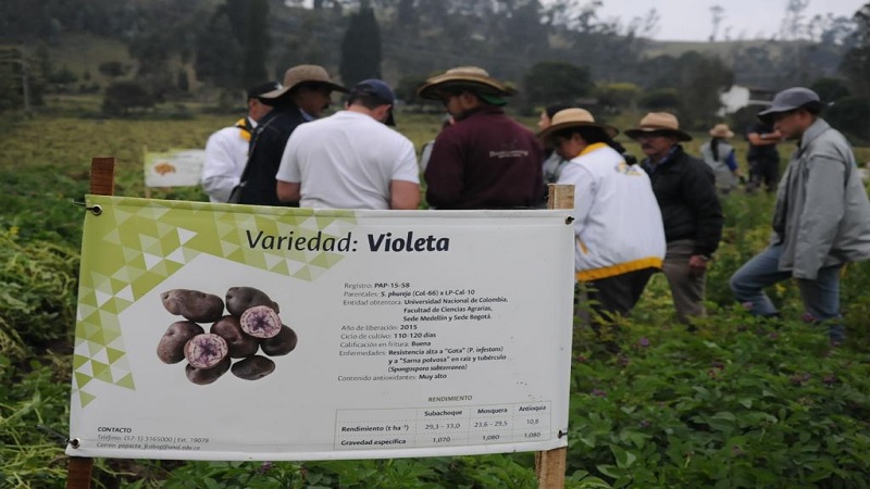 Ciencia, tecnología e innovación al servicio de campesinos de Cundinamarca y Bogotá











