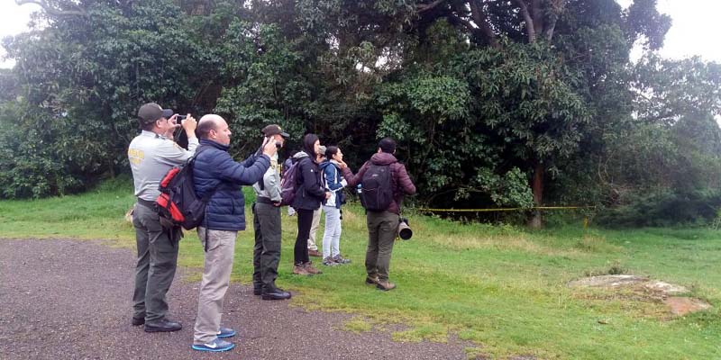 Más de 400 especies de aves reportadas en  el departamento
