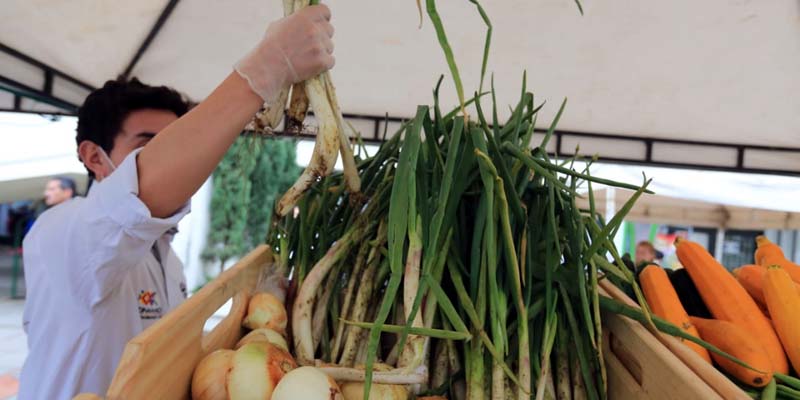 Exitosa jornada de ‘Cambio Verde’ en Fusagasugá



