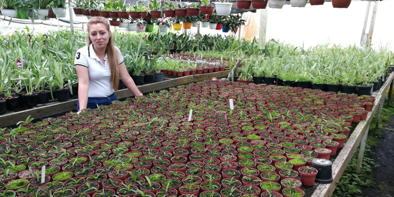 Se fortalece conservación y cultivo de orquídeas nativas en San Antonio del Tequendama y Fusagasugá





