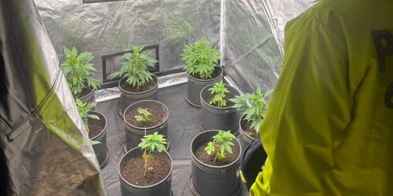Desmantelan laboratorio clandestino de drogas en conjunto cerrado de Madrid, Cundinamarca