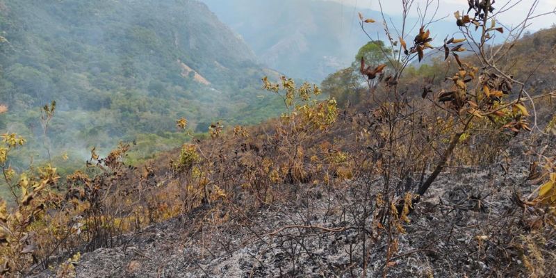 Cundinamarca reporta 15 incendios en 8 municipios, hay 90 hectáreas afectadas en dos días