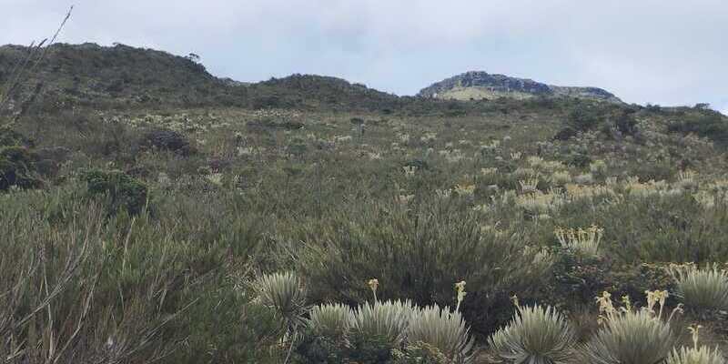 Provincias de páramo reconocen dinámicas regionales alrededor del agua
