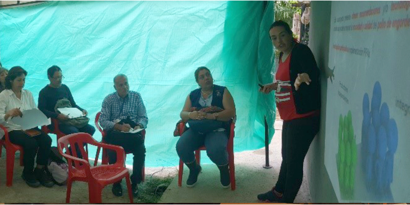 Mejora de la producción de carne avícola en el municipio de Guaduas