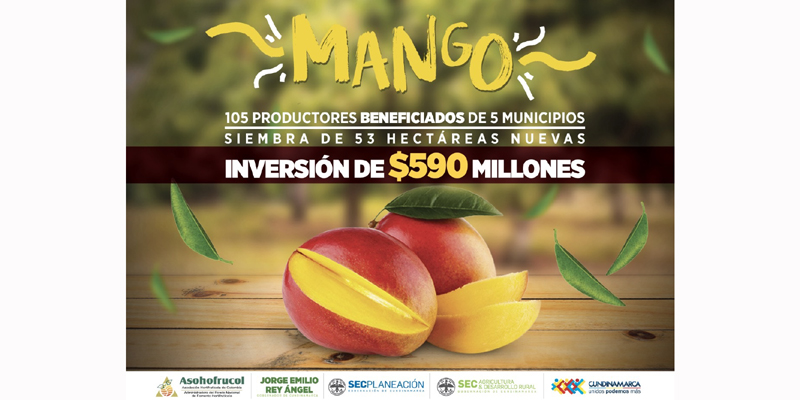 Se fortalecen cadenas productivas de mango, aguacate y cítricos