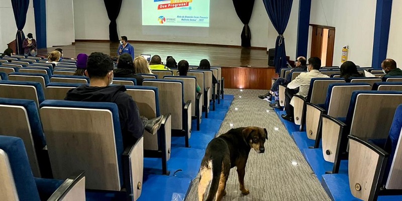 San Antonio del Tequendama, primer municipio con Ruta Formal de Atención al Maltrato Animal










