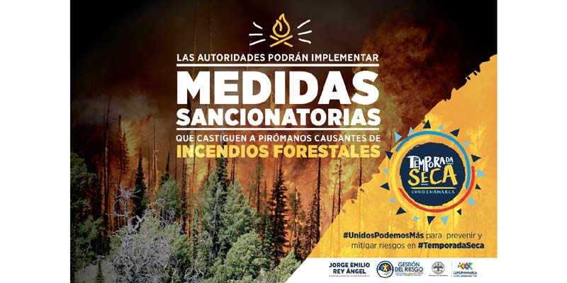 Habría sanciones para quienes propicien incendios forestales

