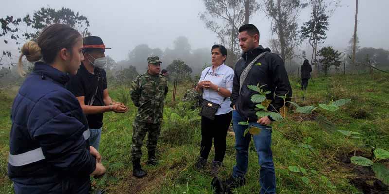 La Secretaria TIC sembró 1.000 árboles en Fusagasugá









