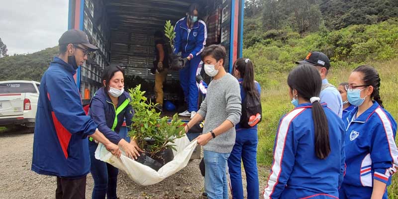 El equipo TIC sembró 400 árboles nativos en Ubaté 






