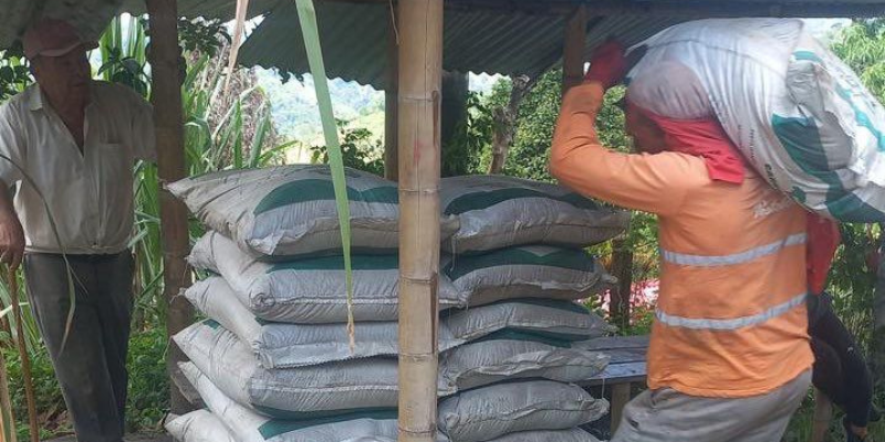 Más de 100 productores fortalecen sus cultivos de caña panelera con fertilizantes orgánicos en Cundinamarca

