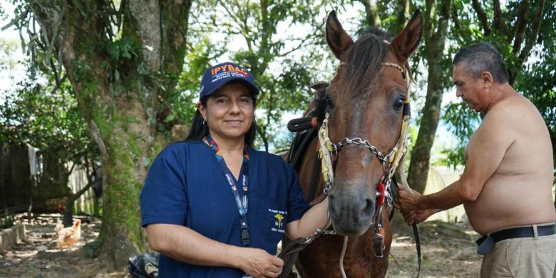 Más de 230 animales reciben atención integral tras el sismo en Paratebueno y Medina