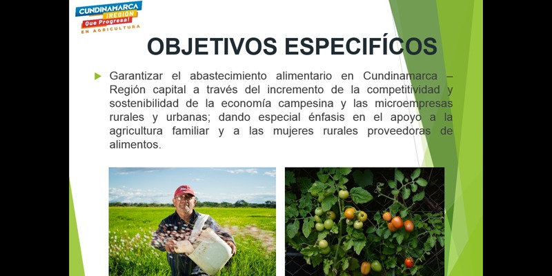 Cundinamarca se consolida como despensa agroalimentaria, saludable, eficiente y competitiva del país


