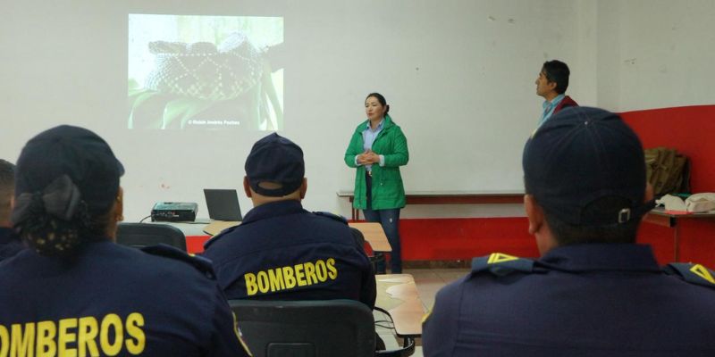 Bomberos de Cundinamarca se entrenan en manejo de serpientes para reforzar la protección animal y la seguridad ciudadana