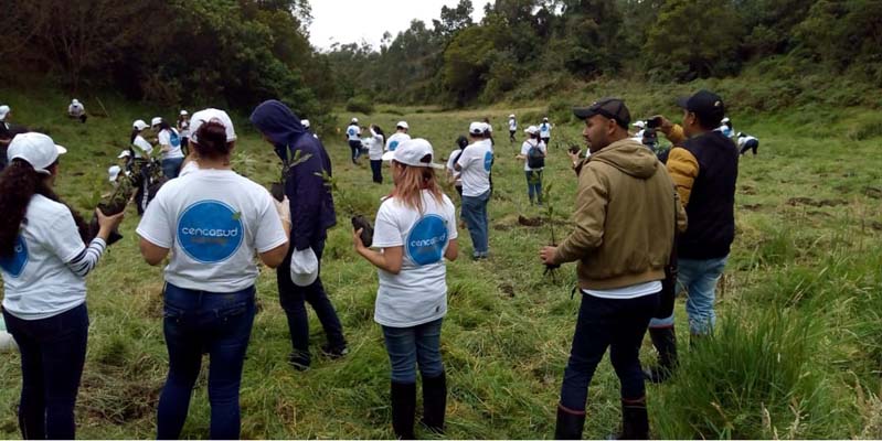 Reforestar, un acto de vida por Cundinamarca

