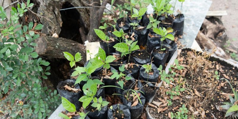 Gobernación cede al municipio de Agua de Dios predio de $123 millones para vivero que aportará a la recuperación del río Bogotá
