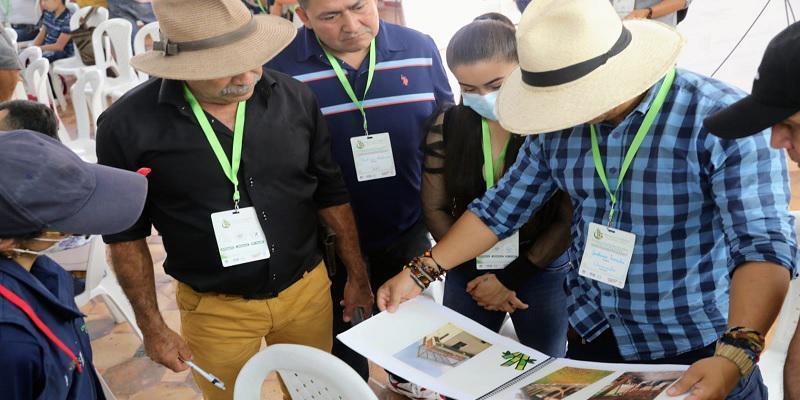 Así se fortalece la producción de guadua en Cundinamarca