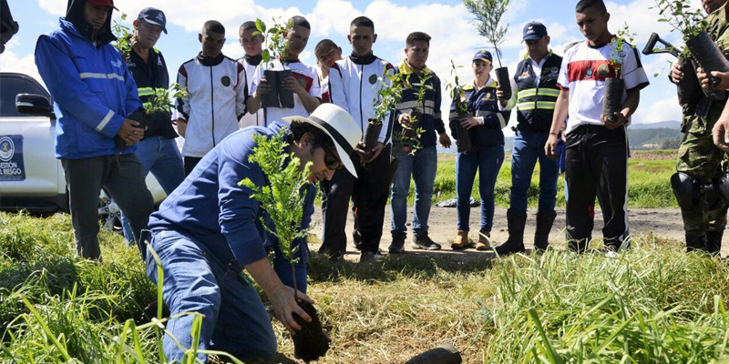 Siembra de 2.444 árboles en zonas afectadas por incendios forestales en Soacha



















