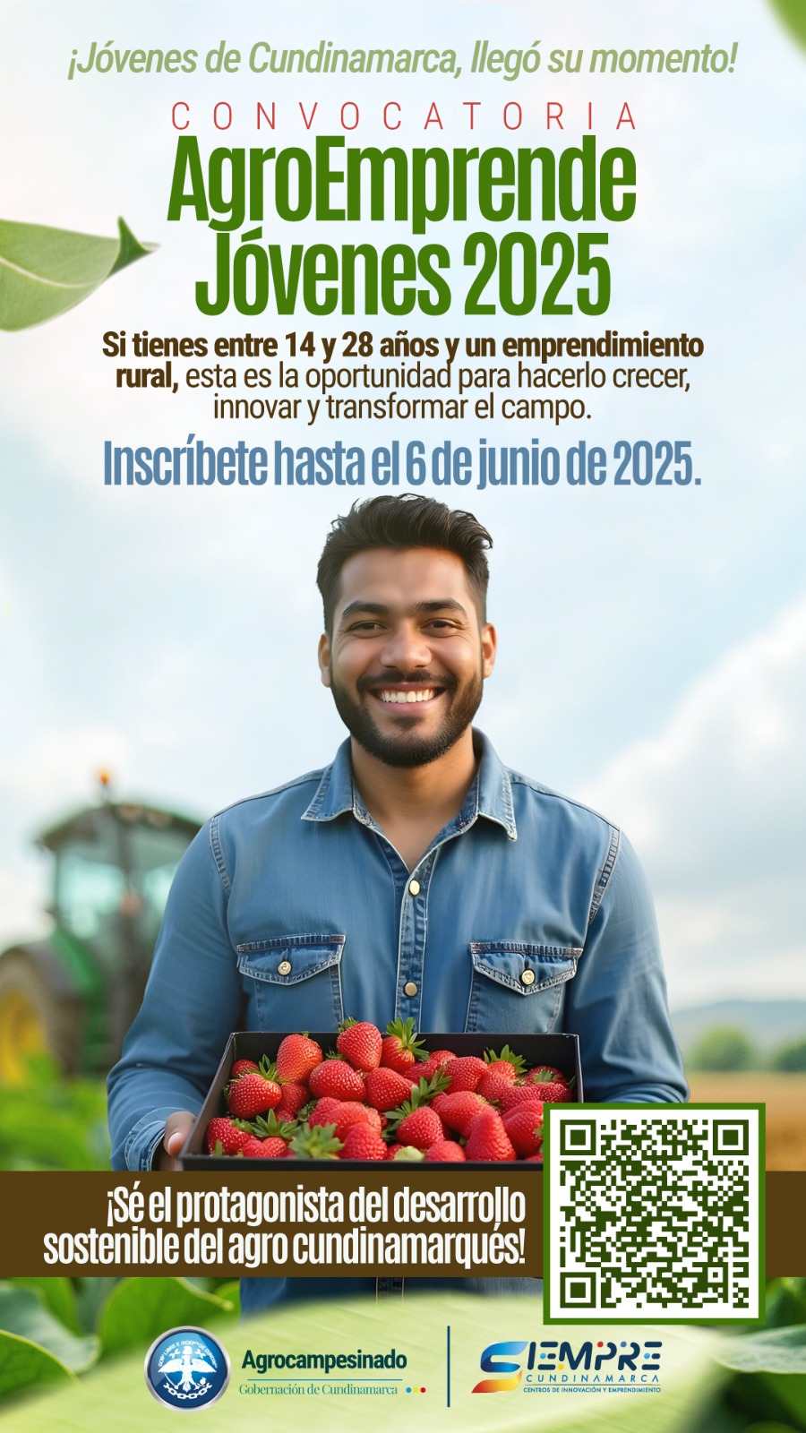 CONVOCATORIA PARA EL APOYO A UNIDADES PRODUCTIVAS AGROPECUARIAS DE POBLACION JOVENES RURALES – REQUISITOS DE PARTICIPACIÓN.