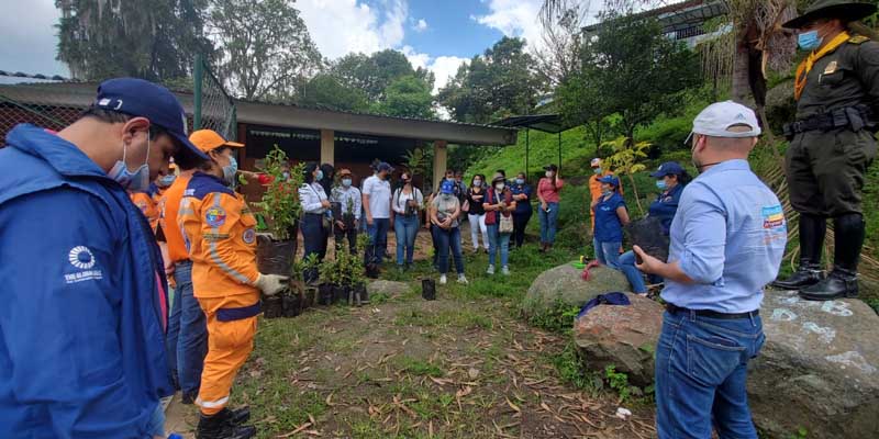 500 árboles de nueve especies fueron sembrados en instituciones educativas de Pacho



