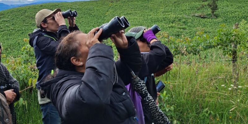 Cundinamarca se consolida como potencia nacional en avistamiento de aves durante el Global Big Day 2025