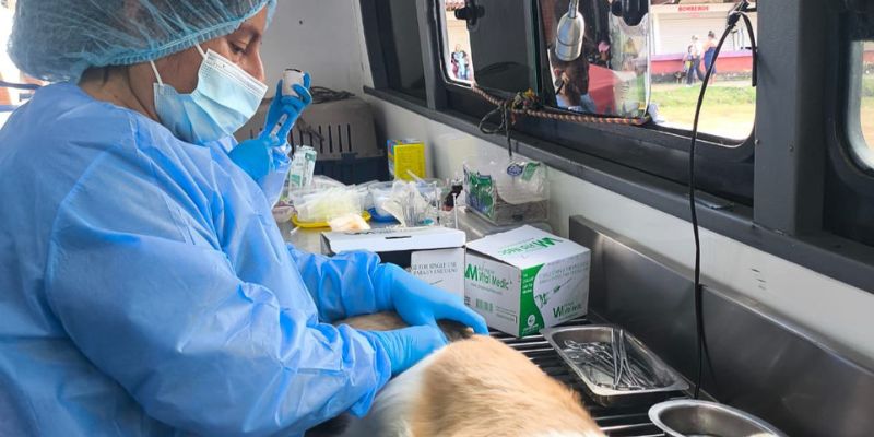 Cundinamarca sigue avanzando por el bienestar animal: la gira 2025 llegará a 14 municipios en agosto
