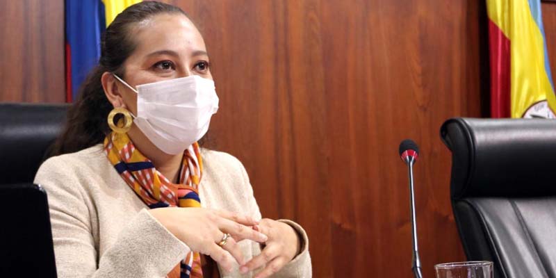 Asamblea cundinamarquesa analizó tres de las cinco líneas estratégicas del plan de desarrollo departamental

