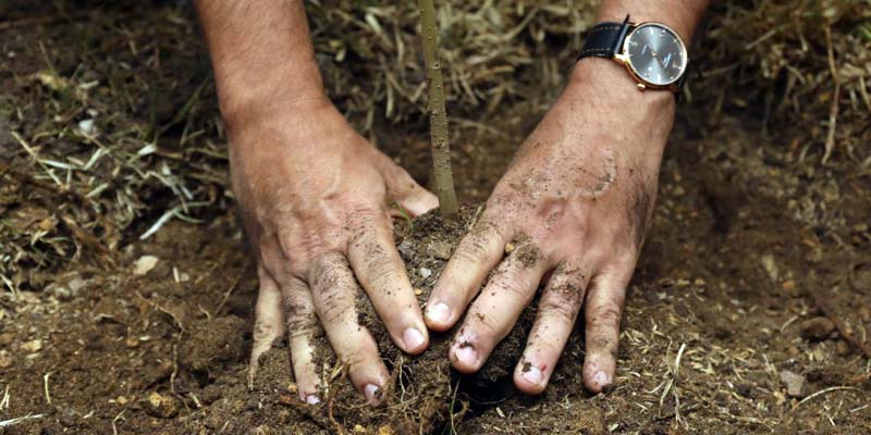 Día Nacional del Suelo: Un recurso esencial para el medio ambiente y la seguridad alimentaria de la región