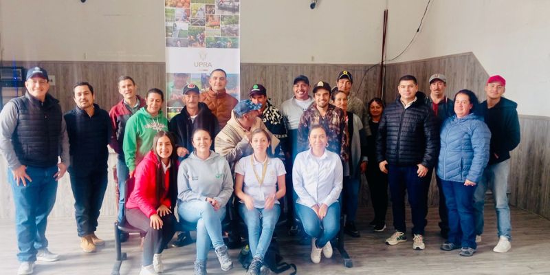 Cundinamarca se consolida como líder en cultivo de cebolla de bulbo con más de 46.000 toneladas anuales