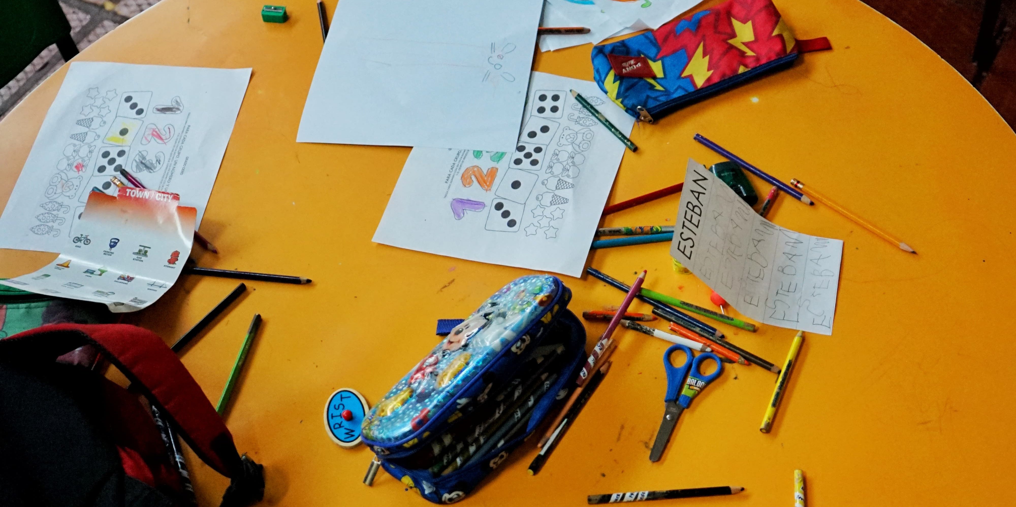 Cundinamarca abre el segundo concurso infantil de dibujo “En el Mundo Animal”
