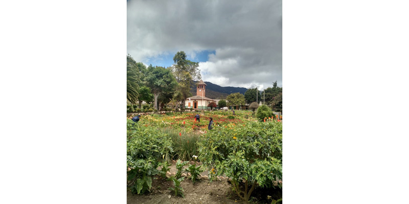 Beneficencia de Cundinamarca dispone de canales de comunicación electrónicos para atención con los usuarios
 






