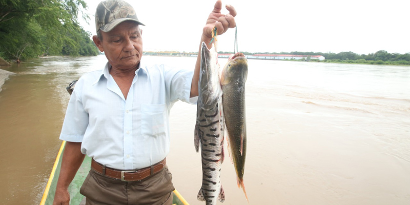 En esta Semana Santa cuide su salud y evite los excesos






















