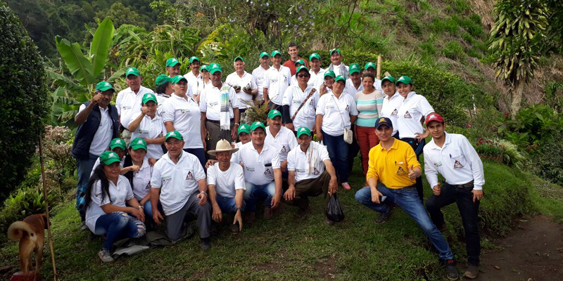 Más de 267 millones para mantenimiento forestal en Guaduas











