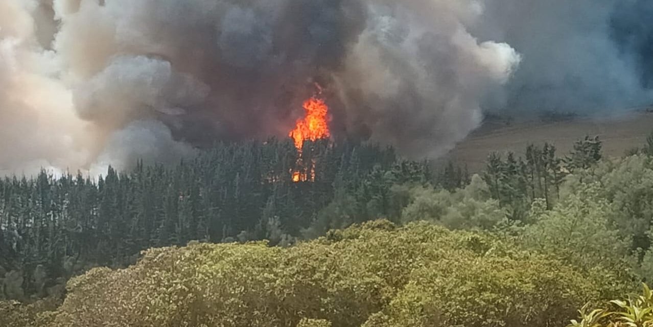 Incendio forestal en Bojacá: continúa lucha contra las llamas, se espera apoyo aéreo

