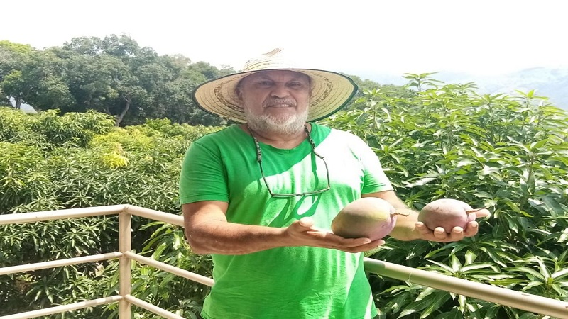 Manuales de Transferencia Tecnológica para sectores agropecuarios y agroindustriales de Cundinamarca



