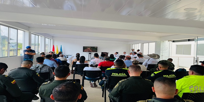 Consejos de Seguridad para garantizar la sana convivencia en Cundinamarca