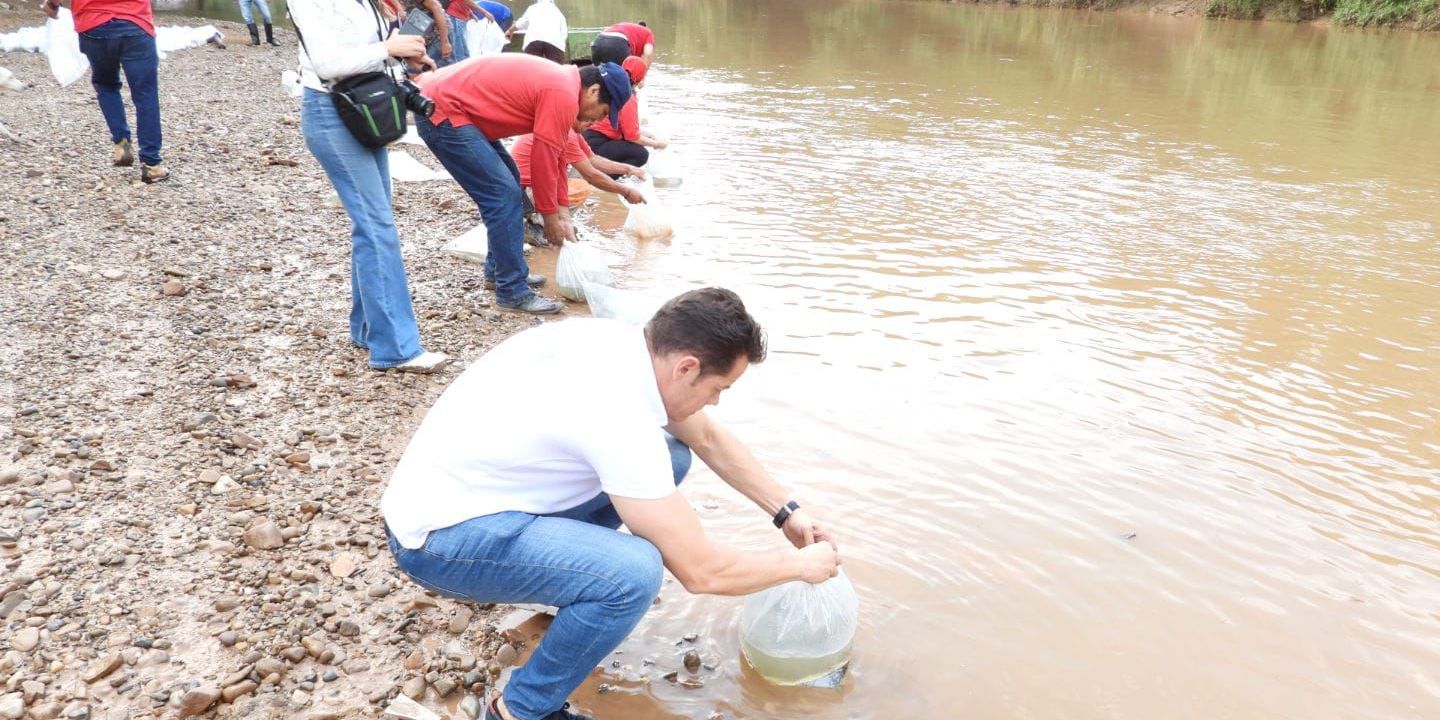 Repoblamiento de peces en el río Magdalena: un paso hacia la revitalización del ecosistema

