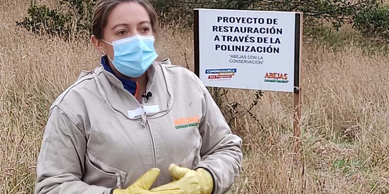 Avanza con éxito el programa Abejas con la Conservación en Villapinzón, Zipaquirá y Gutiérrez



