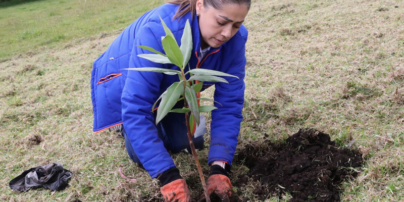 Secretaría de las TIC 100% comprometida con el medio ambiente
