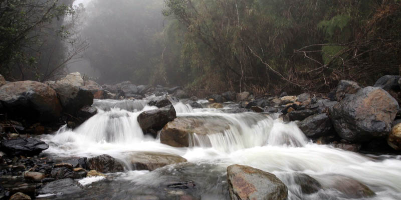 Mañana es el Día Mundial de la Educación Ambiental











