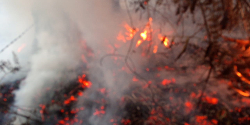 “Cundinamarqueses deben ser vigías para evitar riesgos de incendios en la segunda temporada seca”: Uaegrd
































