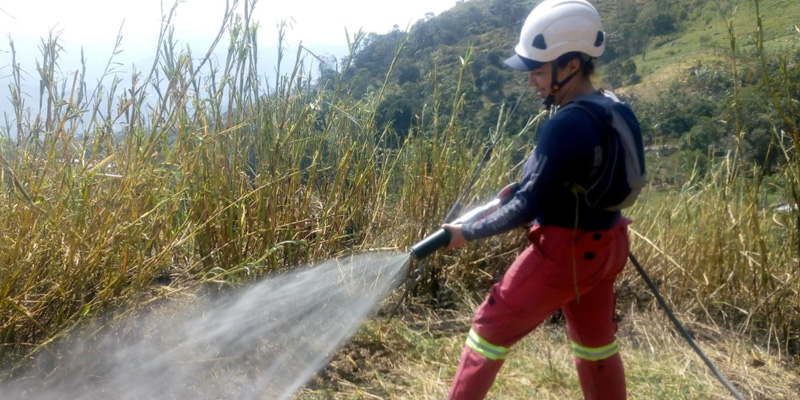 Diez incendios forestales liquidados en seis municipios 

























