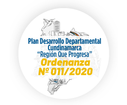 Plan de ordenamiento Territorial Ordenanza N 11 2020