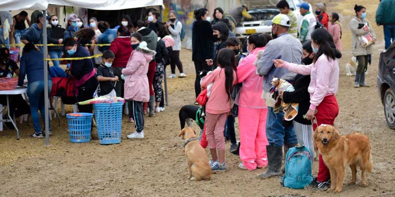 Inicia gran Gira de Bienestar Animal por Cundinamarca


