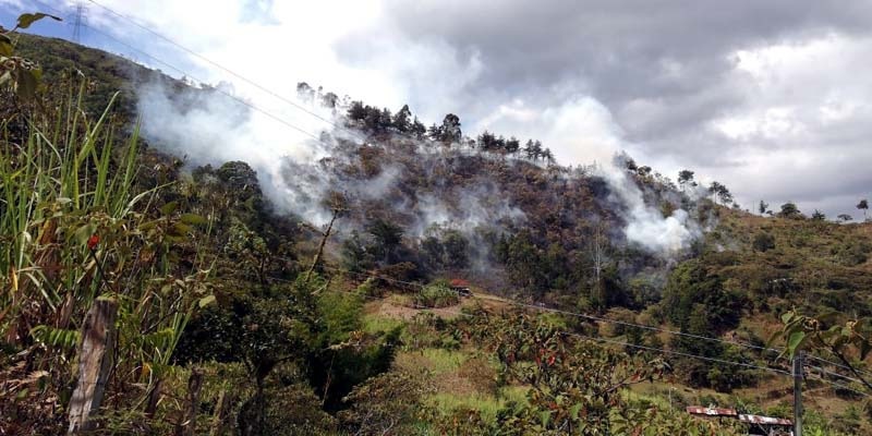 Cundinamarca asumió la Secretaría Técnica Regional de Cambio Climático



